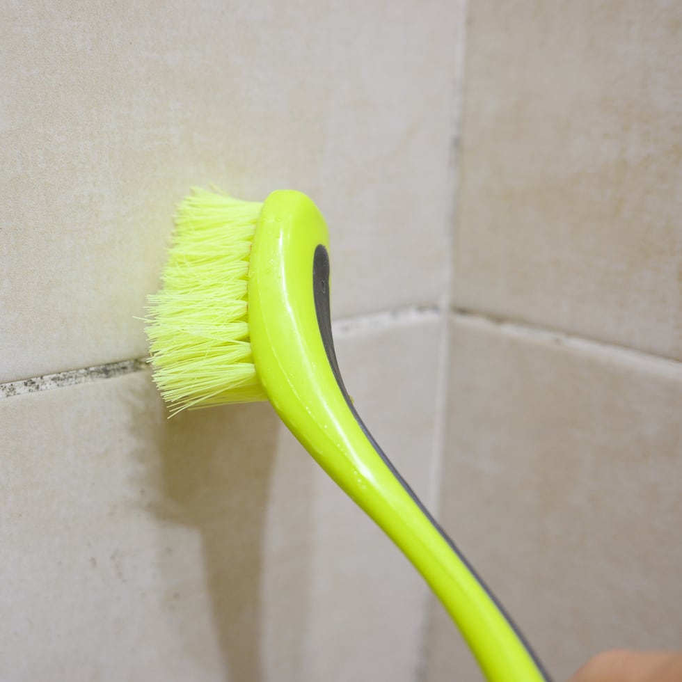 Algunas soluciones caseras ayudan a eliminar la humedad y el moho del baño sin la necesidad de utilizar químicos agresivos.