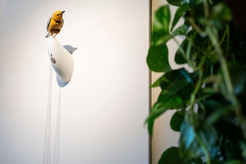 Molly, un pájaro mecánico que canta y baila, creado por Bliss Kolb, se exhibe en Art of Play en el distrito de Brooklyn, en Nueva York.