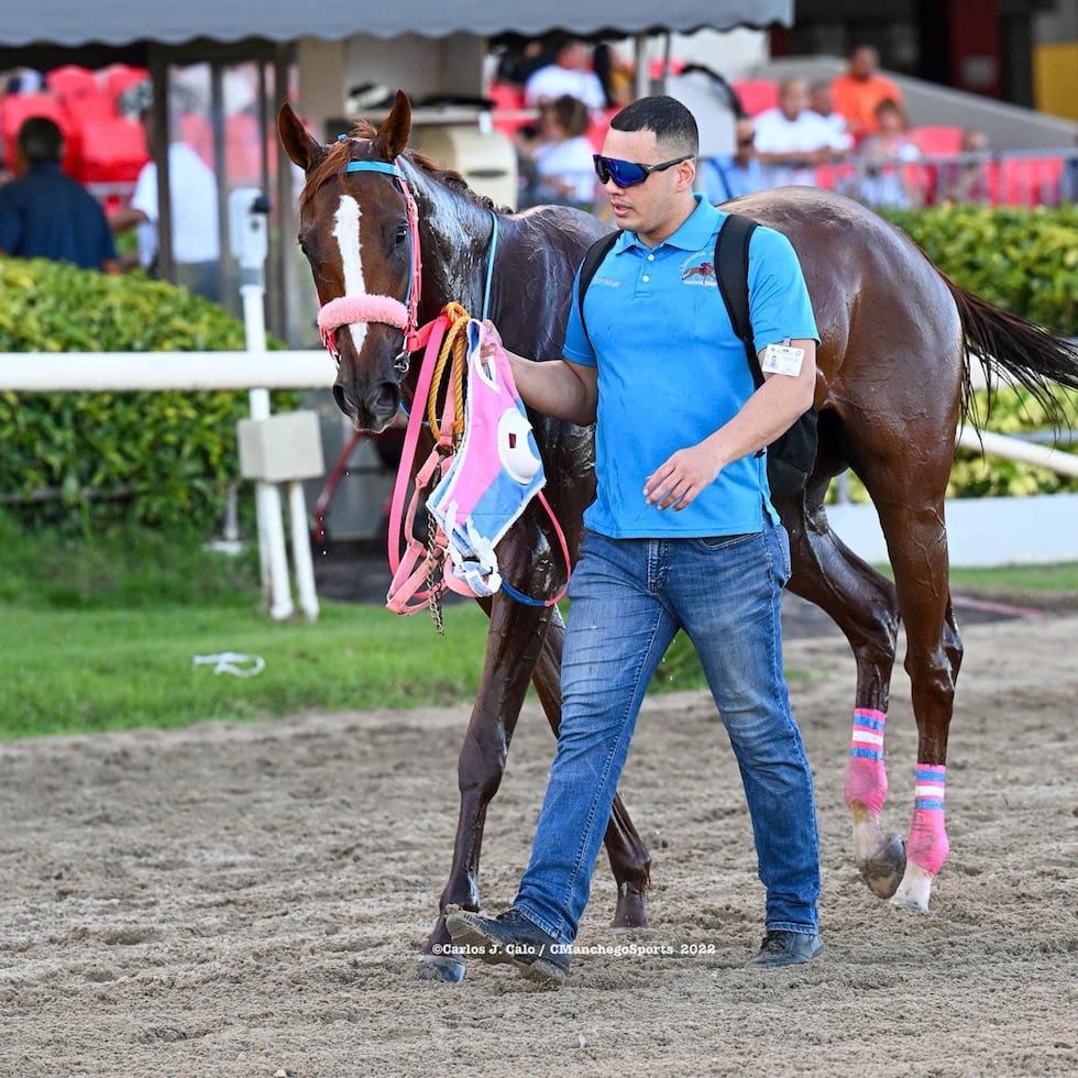 Emmanuel Román cuenta con una década de experiencia como horse groomer, groom o mozo de cuadra.