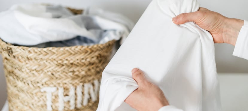 Los ácaros del polvo son unos seres microscópicos que proliferan en la ropa de cama y los colchones cálidos y húmedos.
