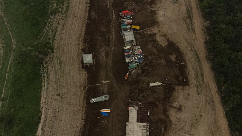 La sequía de 2024 en la Amazonia golpeó al 70 por ciento de los municipios de la región.