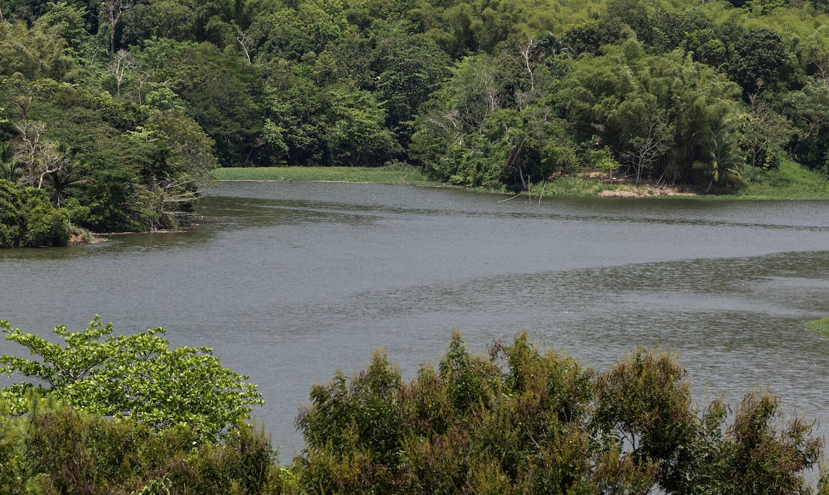 Carraízo y La Plata lideran alzas en 11 de 19 embalses tras lluvias de onda tropical