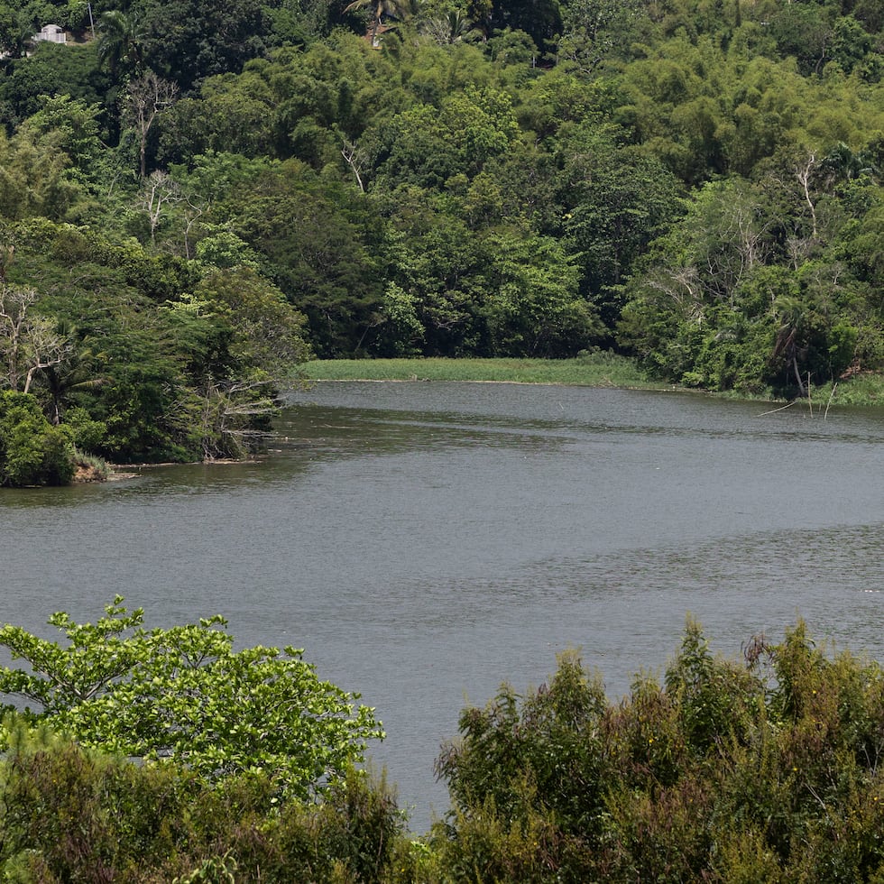 El informe apunta a que los dos embalses principales que suplen agua potable al área metropolitana y a la región de Bayamón, el embalse Carraízo y La Plata, respectivamente, tuvieron una leve reducción.