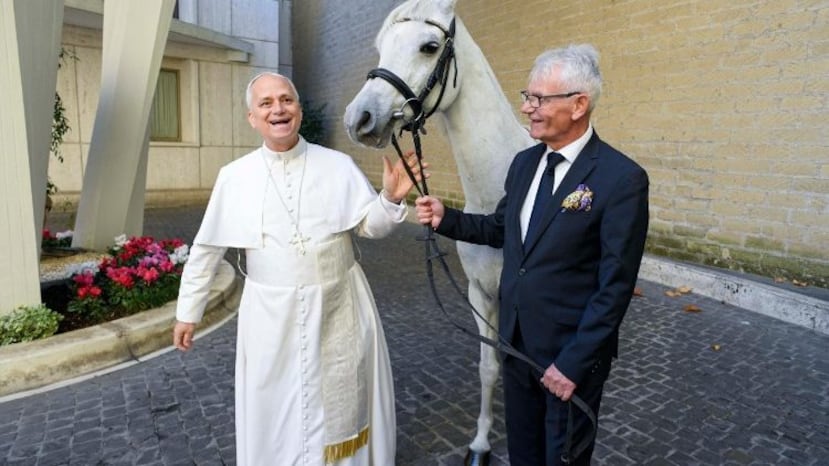El feligrés le regaló al papa este caballo de 12 años, bautizado como Proton, para que lo subasten con fines benéficos, informó el servicio de prensa del Vaticano.