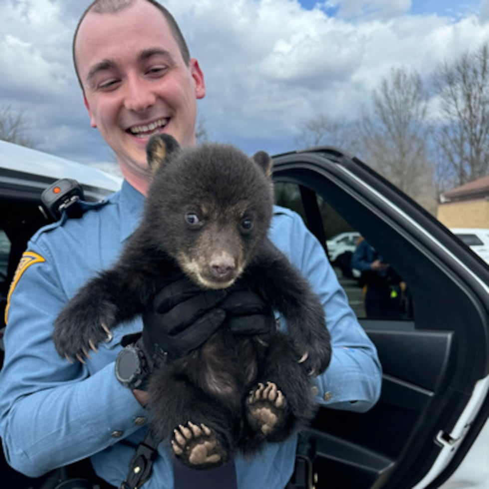 Esta foto proporcionada por la Policía Estatal de Nueva Jersey muestra a un oficial de policía sosteniendo a un osezno que fue rescatado.