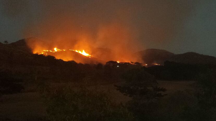 En enero de este año se han reportado solo 56 incendios forestales mientras que para la misma fecha el año pasado hubo 433 fuegos. (GFR Media)