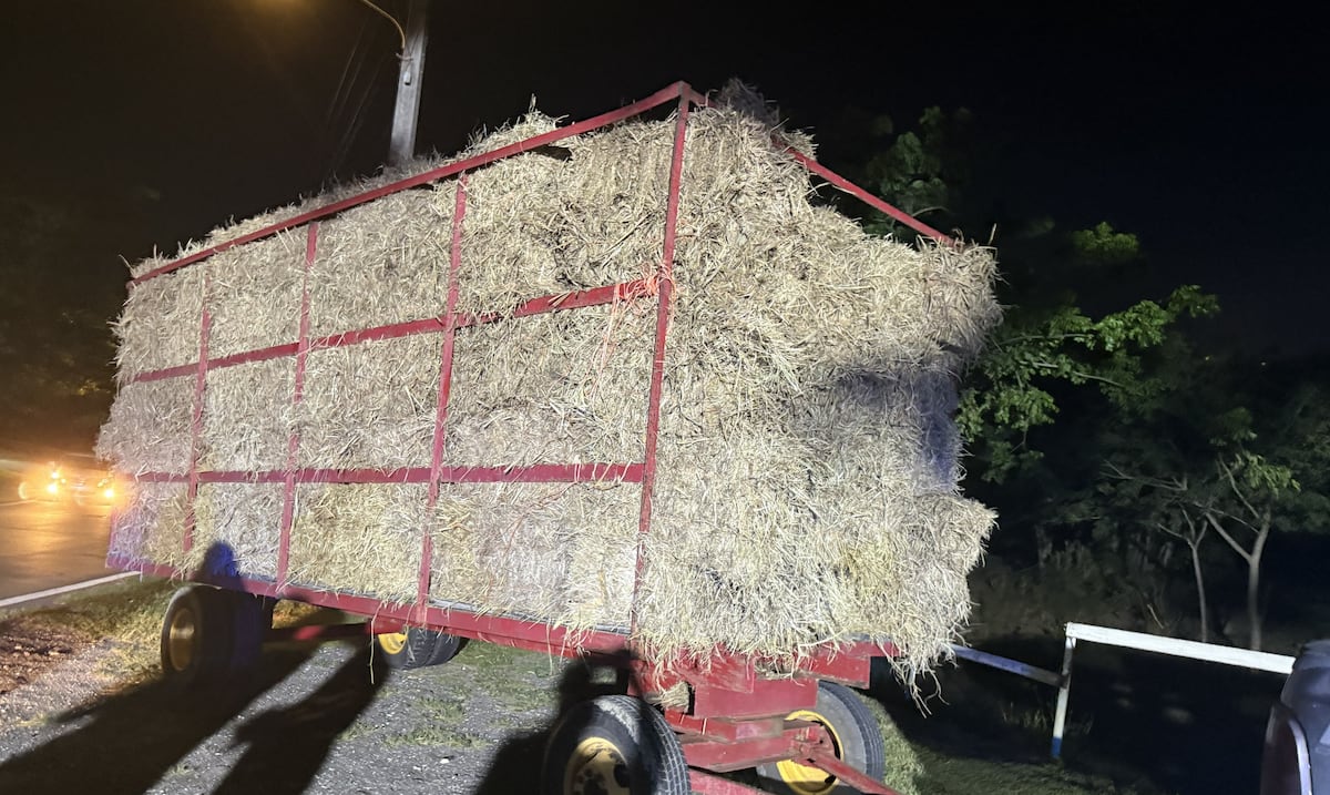 De la finca a prisión: radican cargos contra tres hombres que habrían robado 400 pacas de heno
