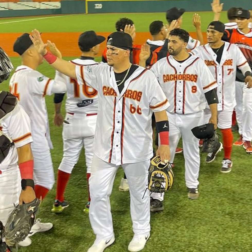 Los Cachorros de Ponce regresaron al Béisbol Superior Doble A en 2023 tras una ausencia del circuito de 41 años.