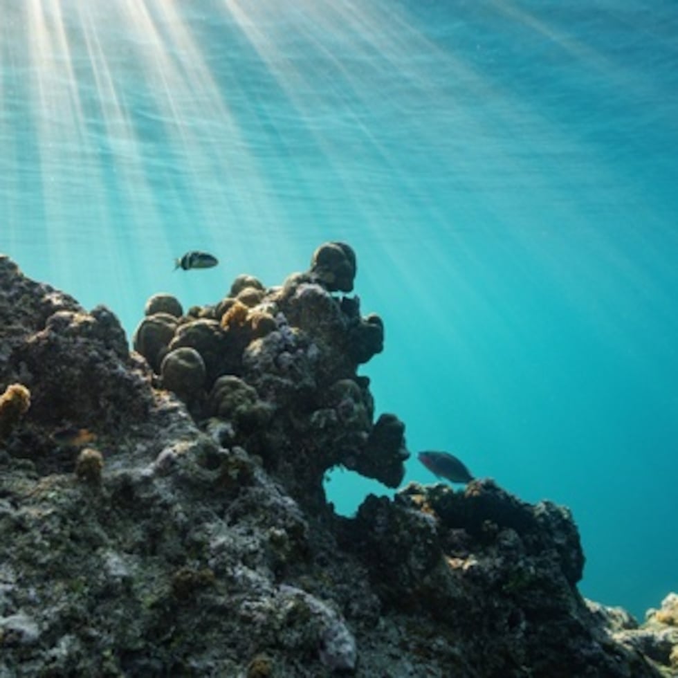 Es el último movimiento de la administración Trump para distanciar a Estados Unidos de los esfuerzos contra el cambio climático en el país y en todo el mundo.