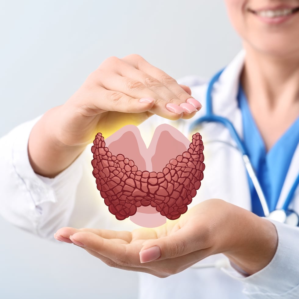 La tiroides es una pequeña glándula ubicada en la parte frontal del cuello, pero su impacto en el organismo es mucho más grande de lo que muchas personas imaginan.