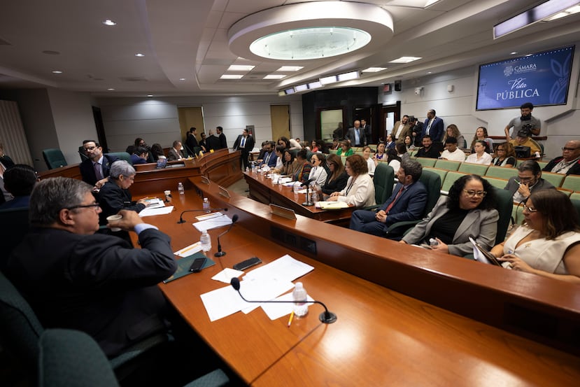 Gremios periodísticos, organizaciones profesionales y ciudadanos expresaron su rechazo al PS 63 durante una vista pública que se extendió por seis horas.