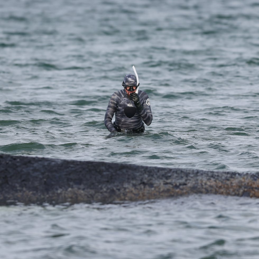 Imagen de archivo de la ballena Timmy.