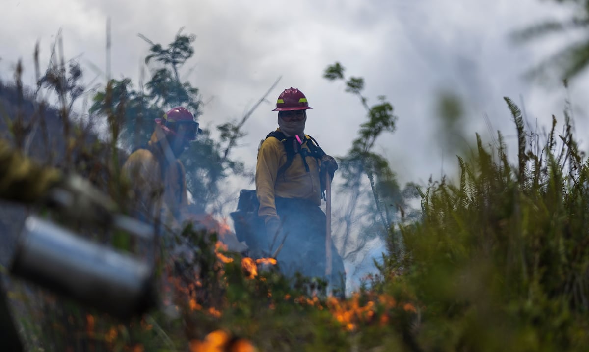 Bomberos atienden incendio forestal cerca de hogar de envejecientes en Gurabo