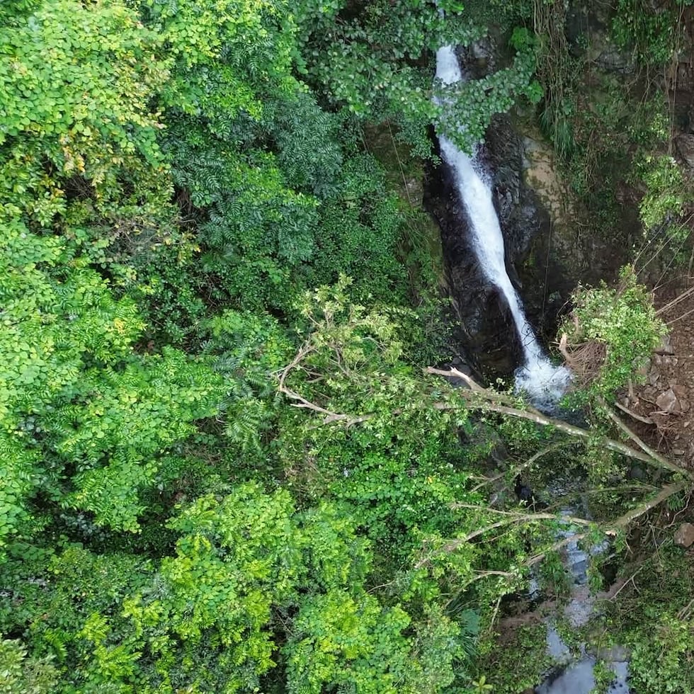 Un desprendimiento de rocas provocó el cierre de la cascada La Soplaera.