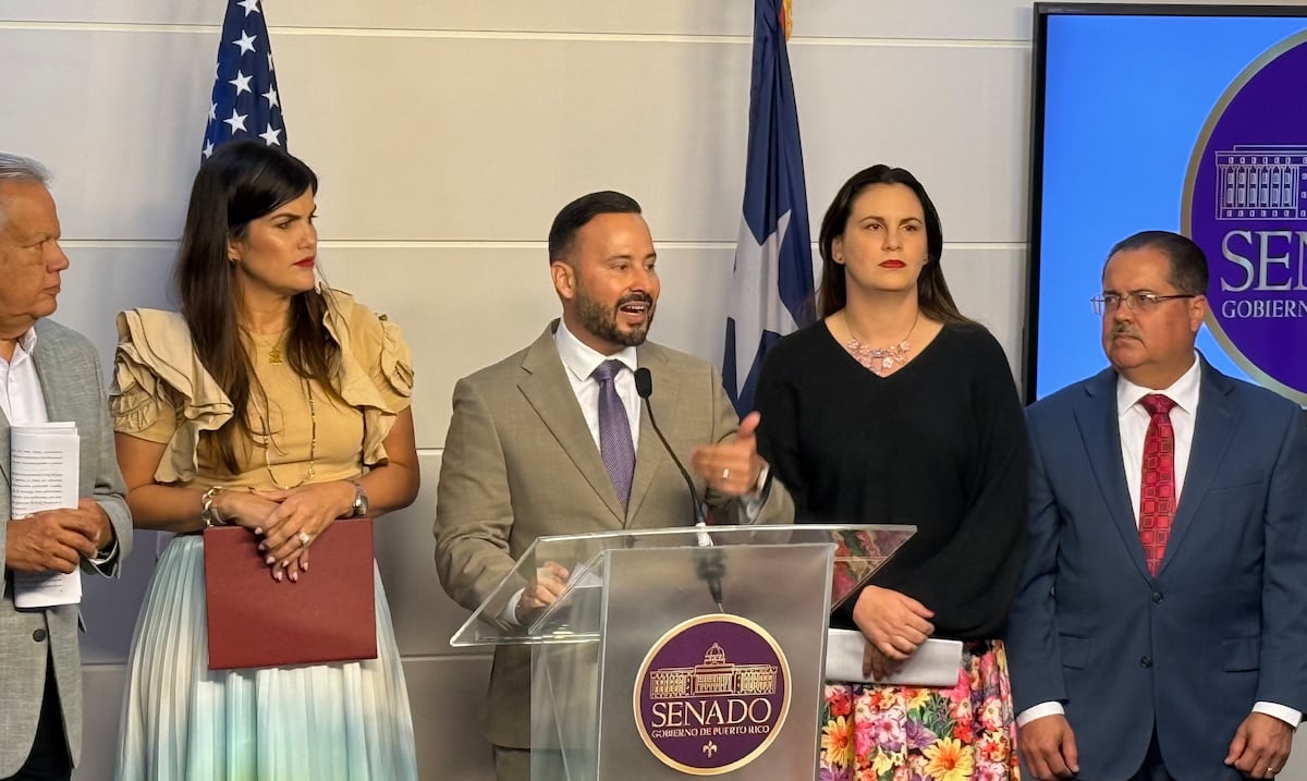 Senadores del PPD denuncian aumentos para puestos de confianza y servicios profesionales en nuevo presupuesto