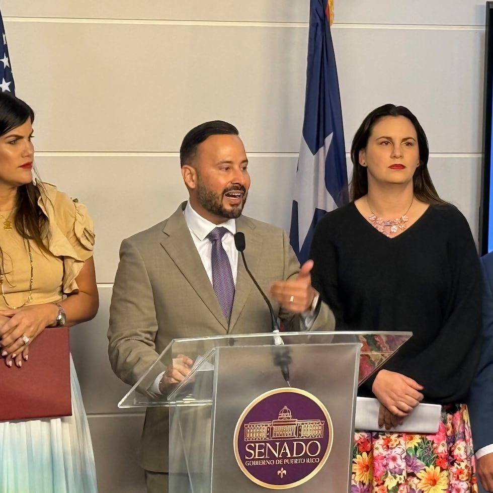 La delegación del PPD en el Senado. De izquierda a derecha, José "Josian" Santiago, Marially González, Luis Javier Hernández Ortiz, Ada Álvarez Conde y José Luis Dalmau.