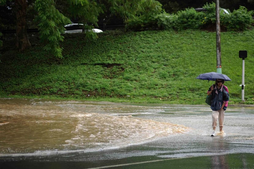El Servicio Nacional de Meteorología indicó que la combinación de la humedad con los efectos locales y el calor diurno aumentará la actividad de lluvia en el suroeste e interior de Puerto Rico. (GFR Media)