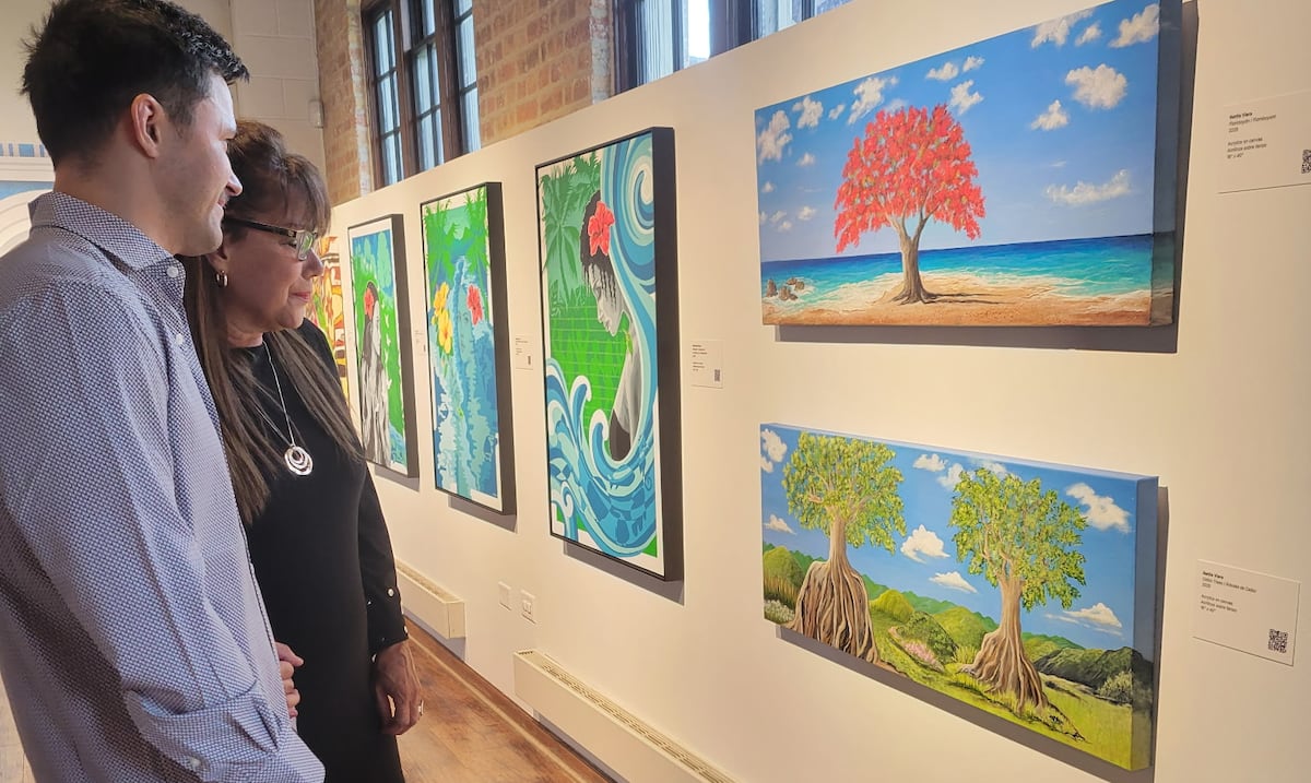 Artistas boricuas de Indiana exhiben su visión de Puerto Rico en museo de Chicago