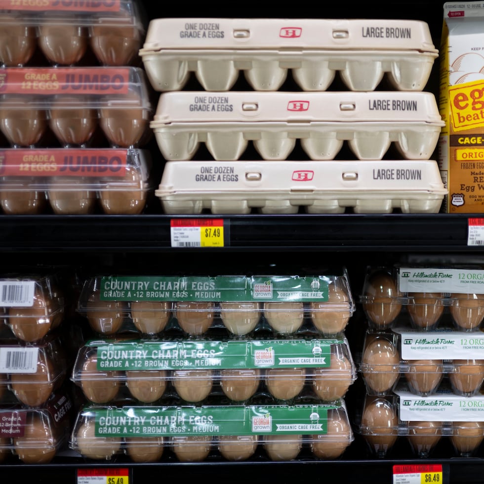 The Department of Agriculture purchased 12,000 boxes of eggs from local producers through an investment of slightly more than $1 million in federal funds as part of a strategy to support the island’s poultry sector.