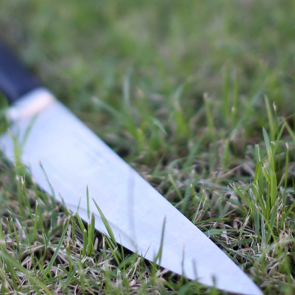 El querellante explicó que se encontraba en su residencia cuando el individuo entró sin autorización a la propiedad.