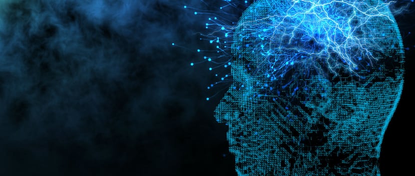 Las neuronas son las principales células del sistema nervioso. (Shutterstock)