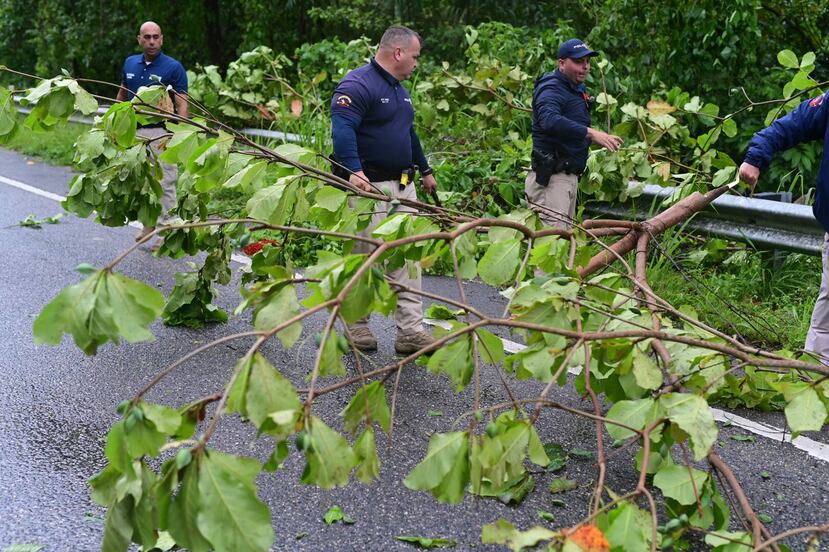 Personal de la Policía de Puerto Rico cortaron arboles caídos en la carretera PR-10 en Utuado.