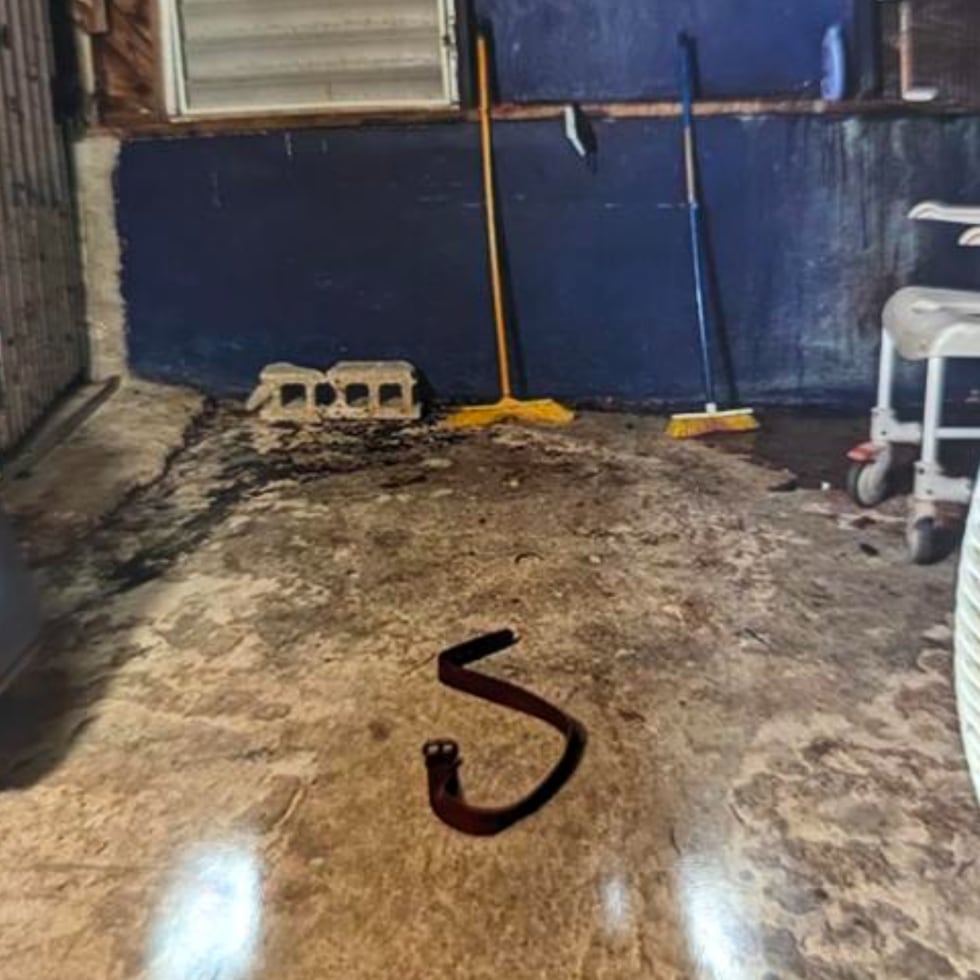Imagen incluida por la Fiscalía federal en una moción para mostrar el lugar donde encerraban a la víctima de noche, que era un área donde antes guardaban animales.
