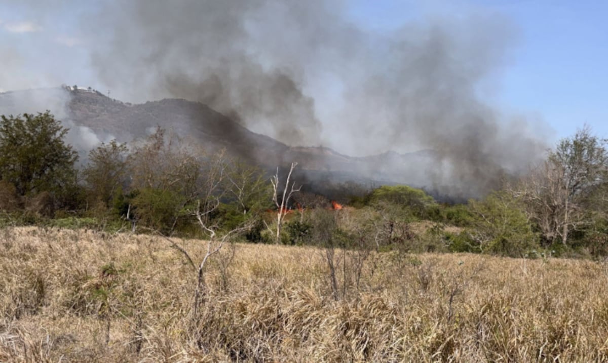 Bomberos controlan incendio forestal que causó cierre del expreso PR-52 en Juana Díaz