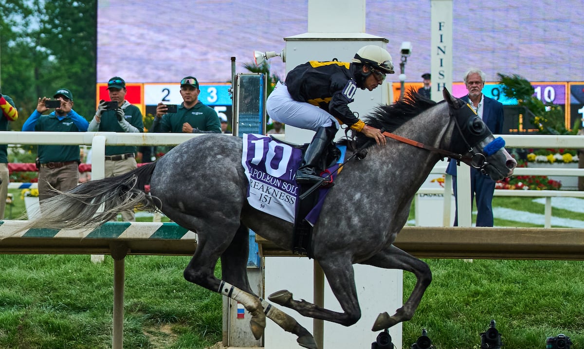 José Luis Ortiz y el ejemplar Chip Honcho llegan tercero en el Preakness Stakes