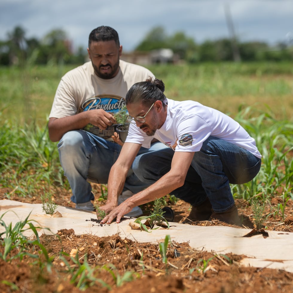 The manufacturing project will be located at Finca Explora in Isabela before the end of 2026.