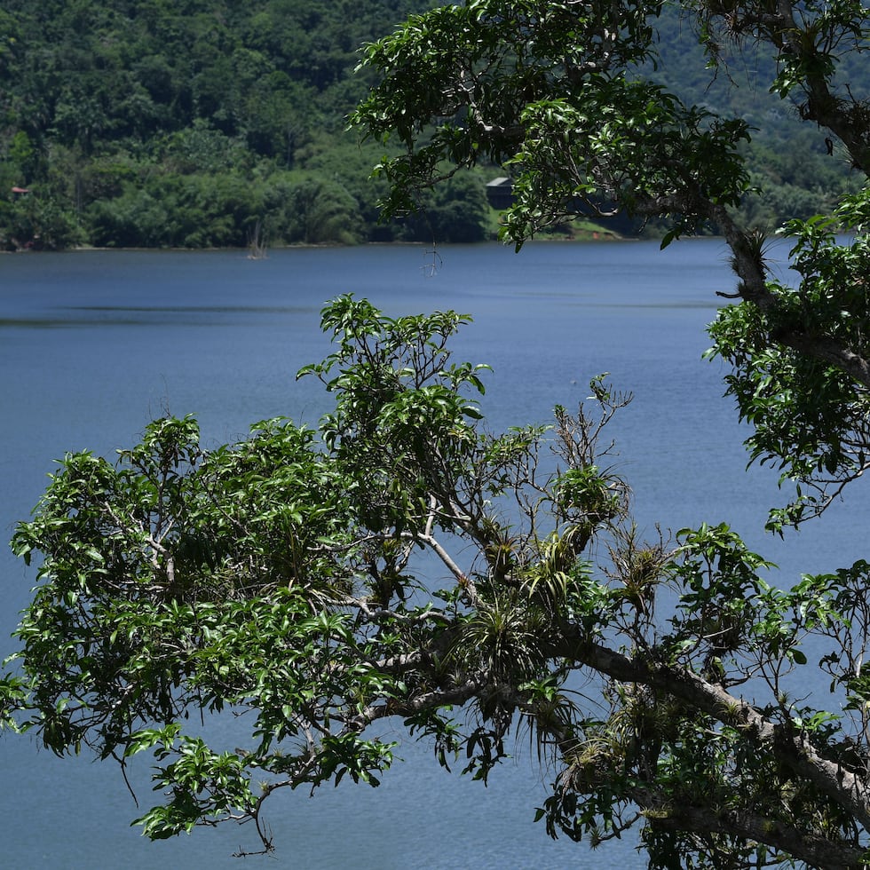El lago Dos Bocas, entre Arecibo y Utuado, es una de las fuentes del Superacueducto.