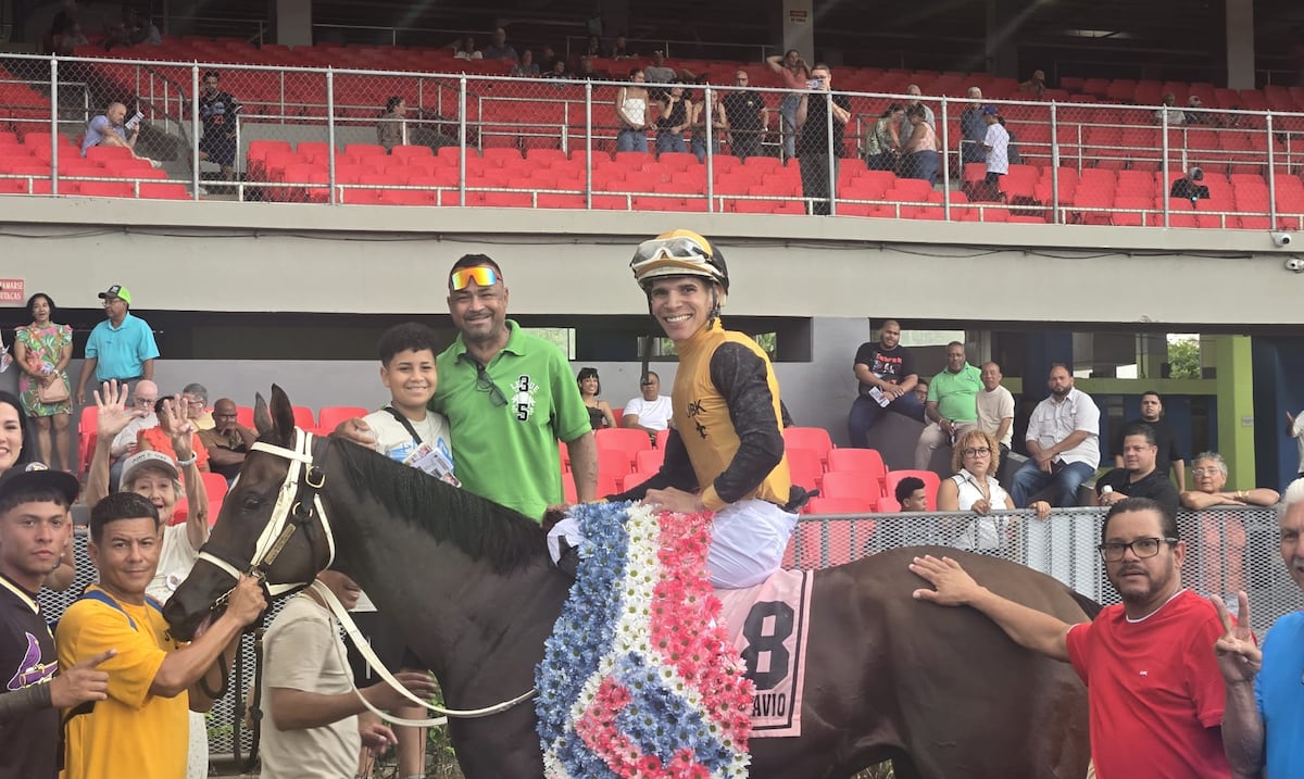 Xander Z queda fuera del Clásico del Caribe de hipismo tras ser operado de una rodilla
