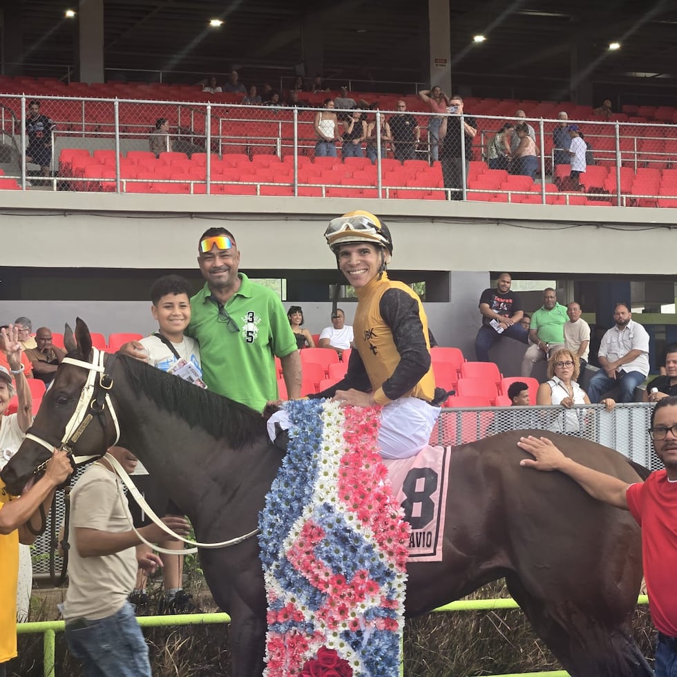 El potro nativo y ganador clásico Don Octavio regresa a la pista este domingo en busca de clasificar al Clásico del Caribe. Será montado nuevamente por Jorge Vargas hijo.