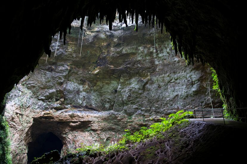 Vista al sumidero Empalme de Cueva Clara en el Parque Nacional Cavernas del río Camuy.