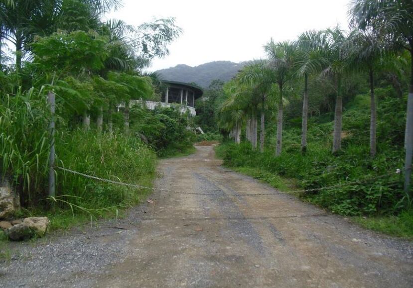 Los auditores de la Oficina del Contralor inspeccionaron la propiedad en 2013 y la encontraron abandonada, cubierta de maleza y sin vigilancia. (Suministrada)