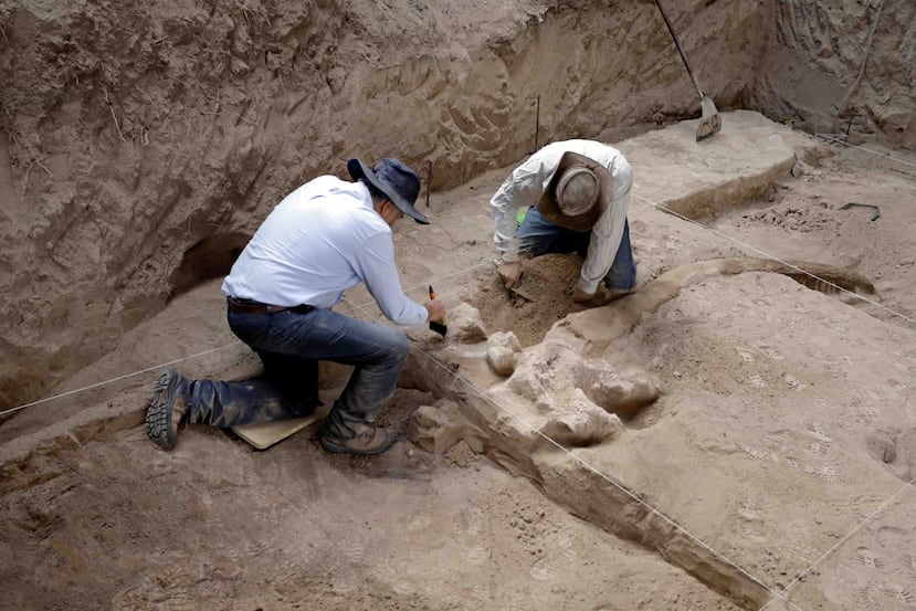 Expertos del Instituto Nacional de Antropología e Historia trabajando en el hallazgo de restos fósiles, en la comunidad de San José Buenavista, en el estado de Puebla, México. (EFE / Hilda Ríos)