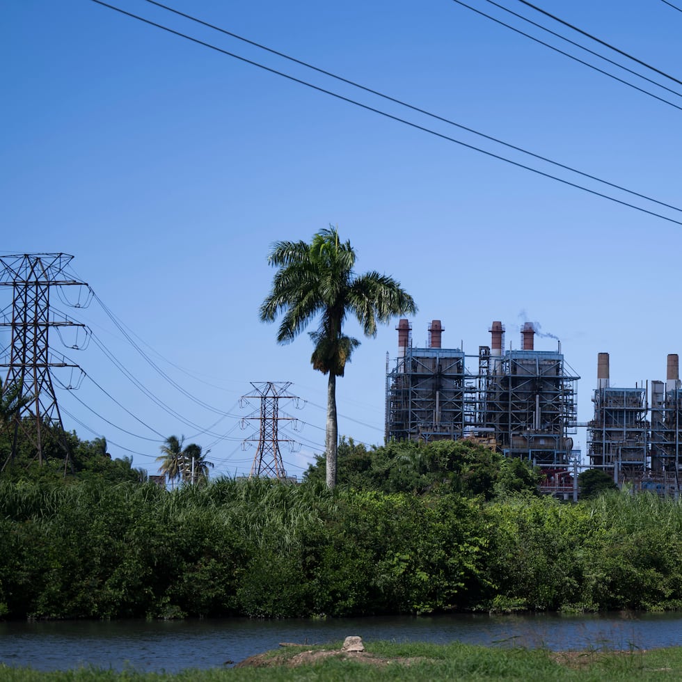 Mientras Genera busca acelerar las reparaciones de unidades generatrices, LUMA atiende líneas de transmisión y el manejo de vegetación en torno al tendido eléctrico.