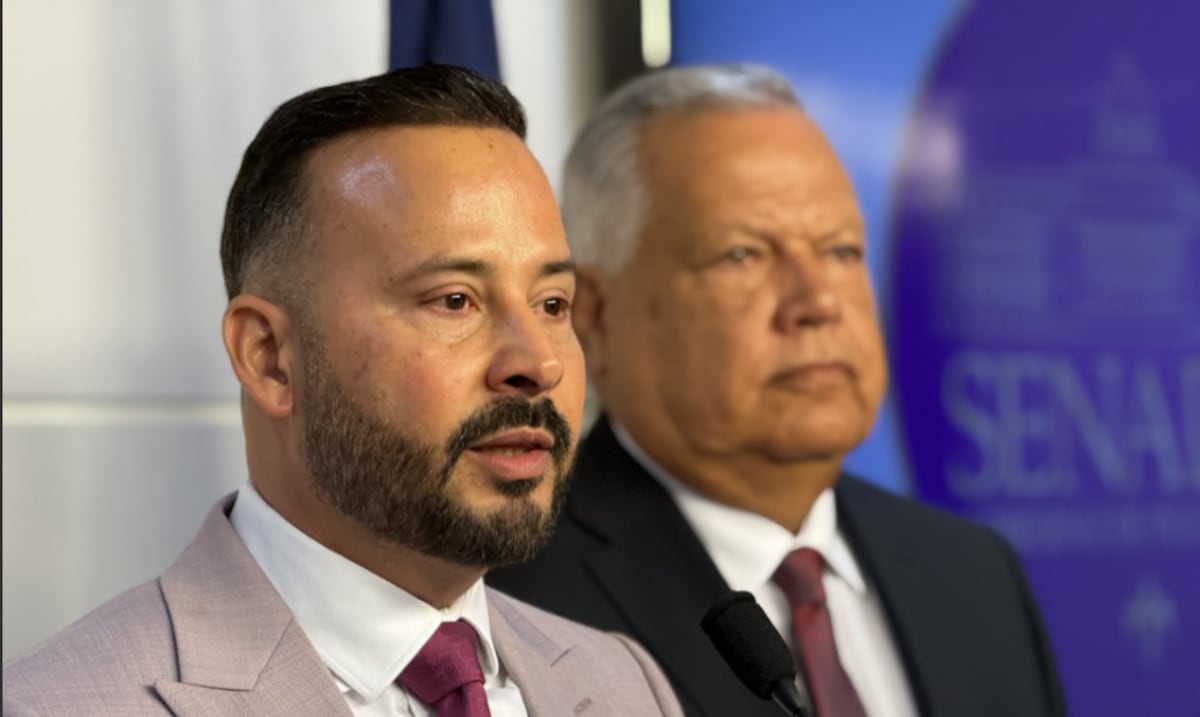 PPD en el Senado exige información sobre 14 turbinas compradas por $300 millones a NFE