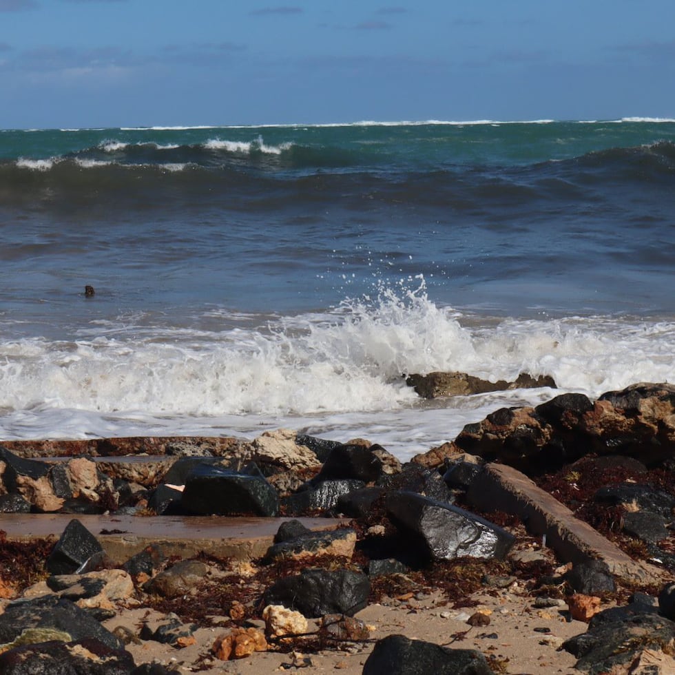 Hoy se perfila como un día “bastante bello”.