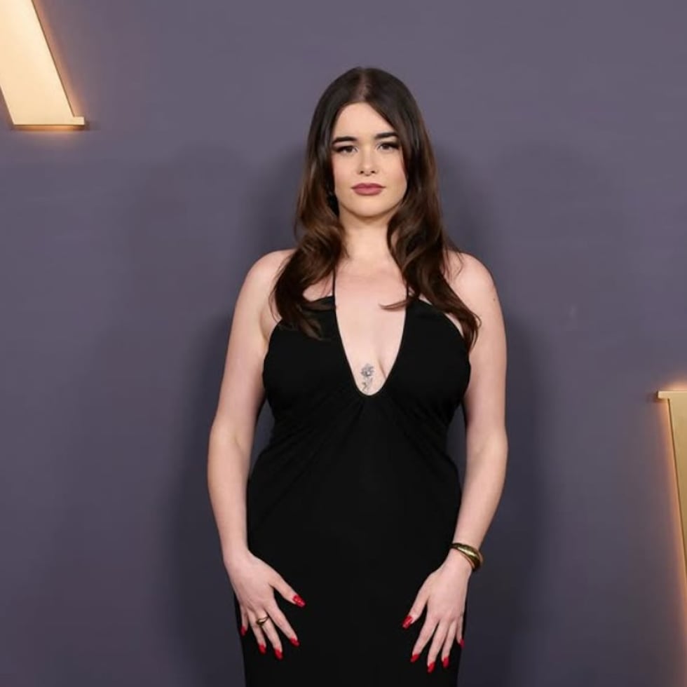 Nacida el 14 de diciembre de 1996 en Nueva York, Barbara Linhares Ferreira es una actriz de ascendencia brasileña.