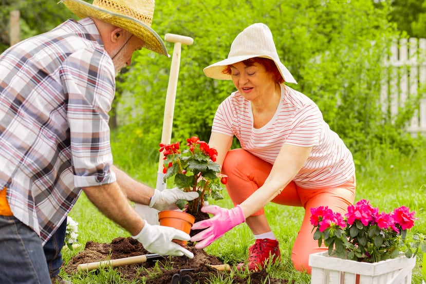 jardinería adultos mayores