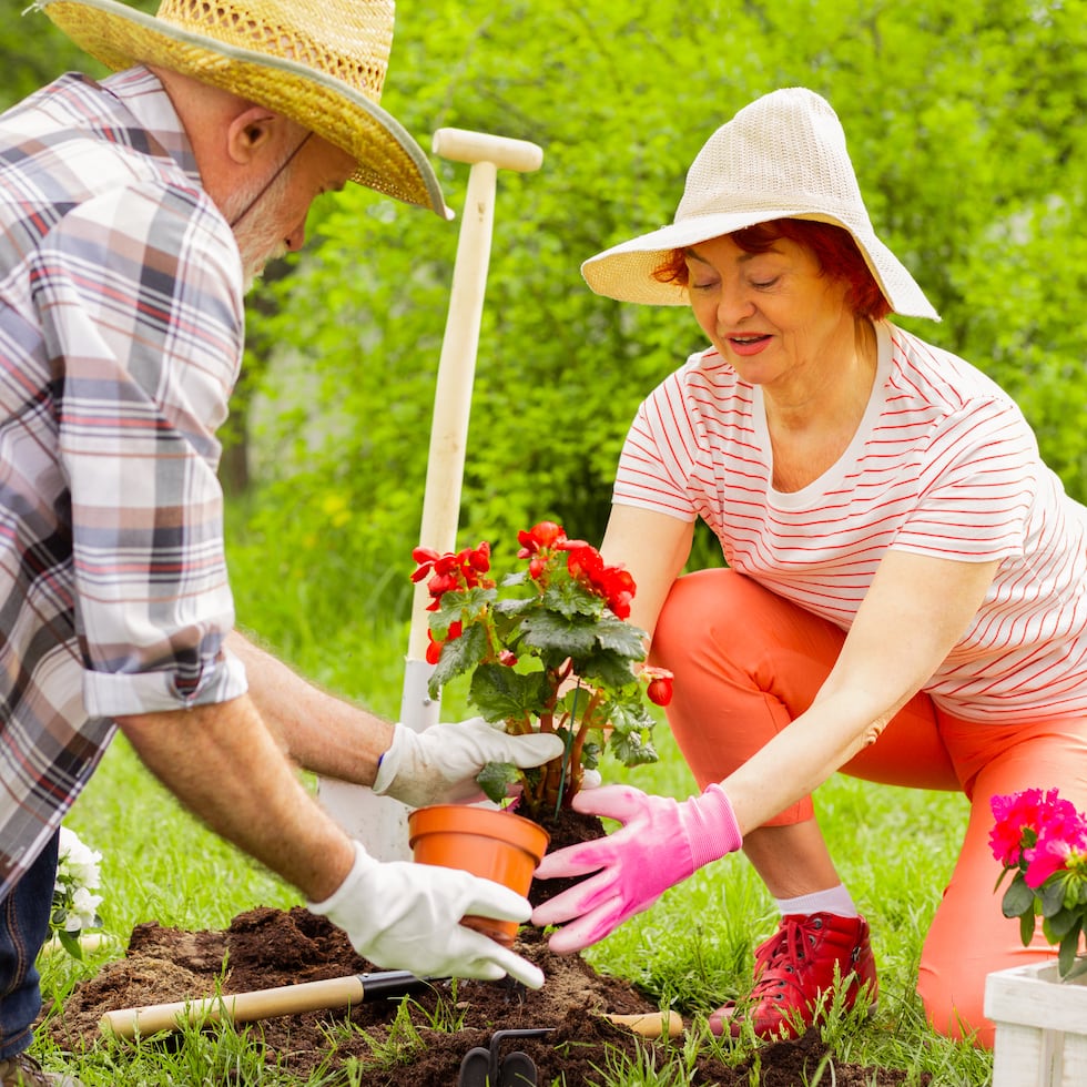El contacto con las plantas y la tierra también estimula la memoria y la atención.