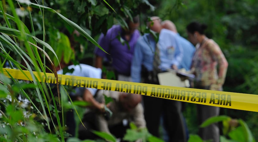 Según la investigación, Rosa Castillo Carranza fue secuestrada el 17 de marzo pasado y su cuerpo fue hallado dos días después en Juncos. (GFR Media)