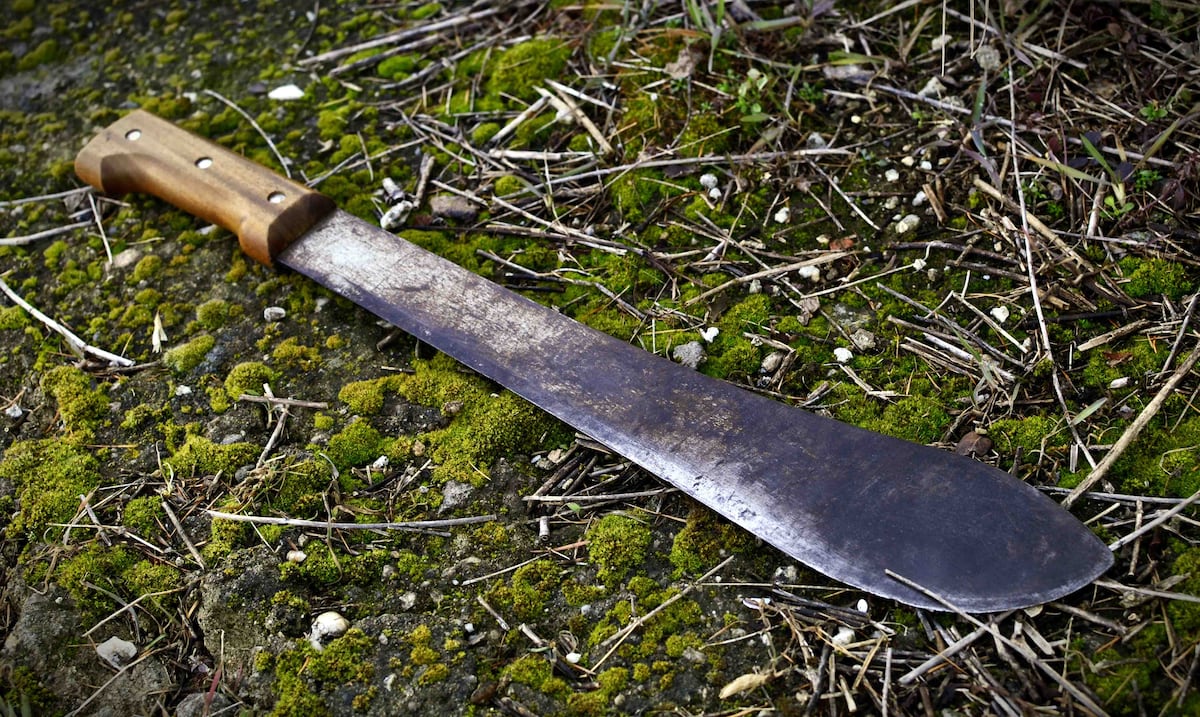 Amenaza con machete: pelea entre hermanos termina con uno de ellos herido en Comerío