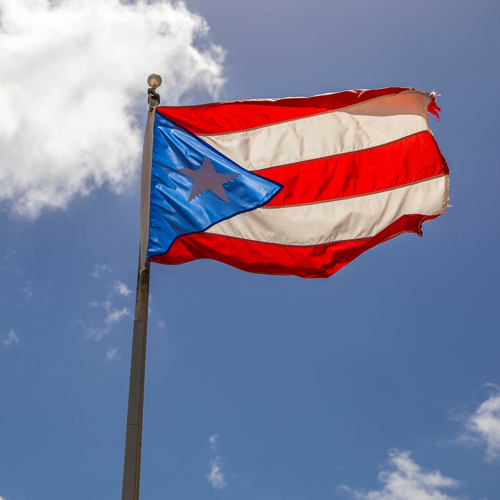 The organization will aim, among its guiding principles, to promote social justice, with the purpose of building a state focused on “improving the quality of life and the well-being of Puerto Rican citizens.”