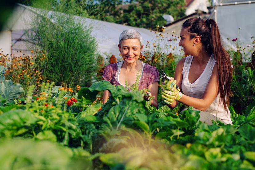 El jardín ideal trabaja en armonía. La combinación de plantas y flores comestibles no solo aprovecha mejor el espacio, sino que también brinda un sentido de satisfacción que puedes compartir con mamá.