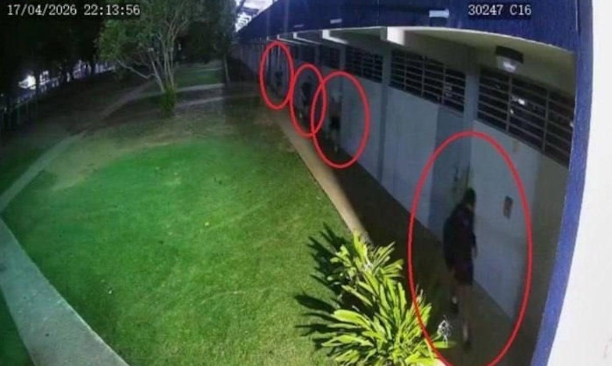 Los agarraron con las manos en la masa: arrestan a cuatro hombres tras escalar escuela en Fajardo