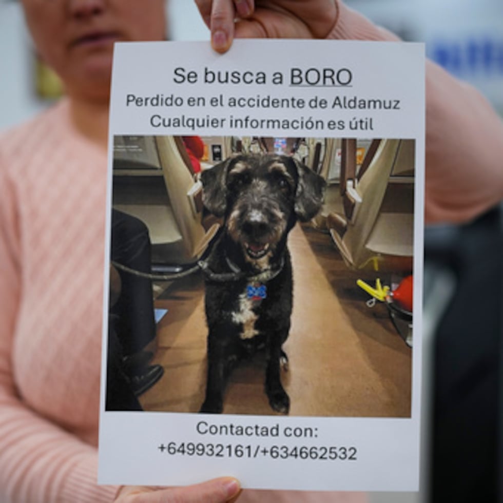 Una mujer sostiene un cartel con la frase "Se busca a Boro. Perdido en el accidente de Adamuz. Cualquier información es útil", para tratar de dar con un perro desaparecido.