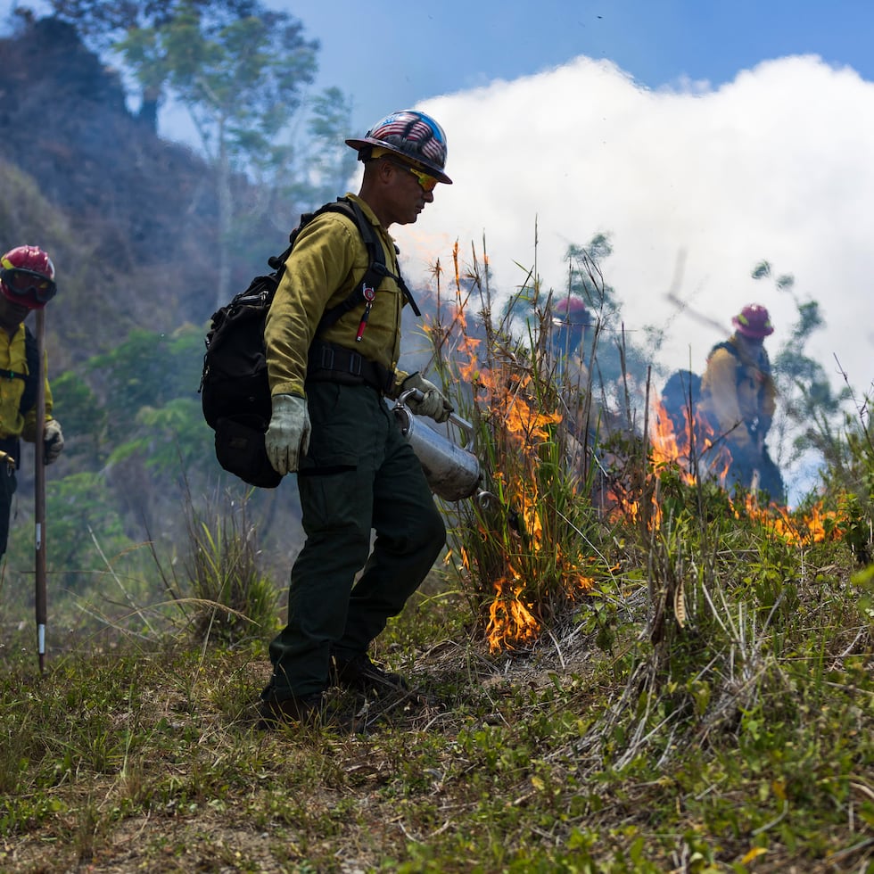 En lo que va de año, se han registrado 1,153 incendios forestales, según datos del Negociado del Cuerpo de Bomberos.