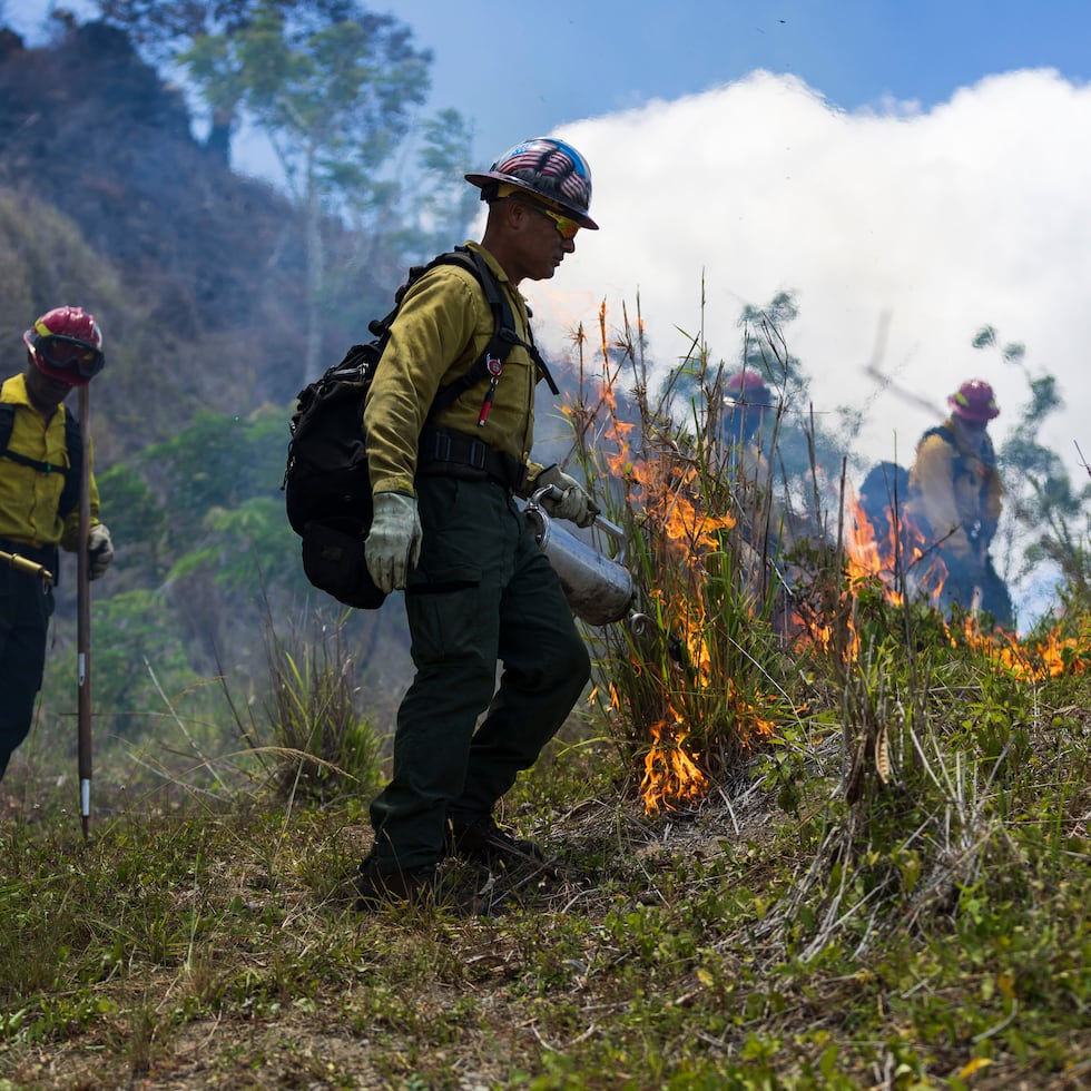 So far this year, 1,153 wildfires have been recorded, according to data from the Puerto Rico Fire Department.